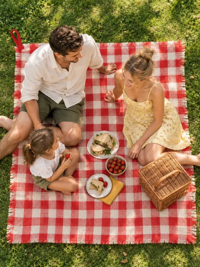 Big Gingham Picnic Cloth on a laid weekend table